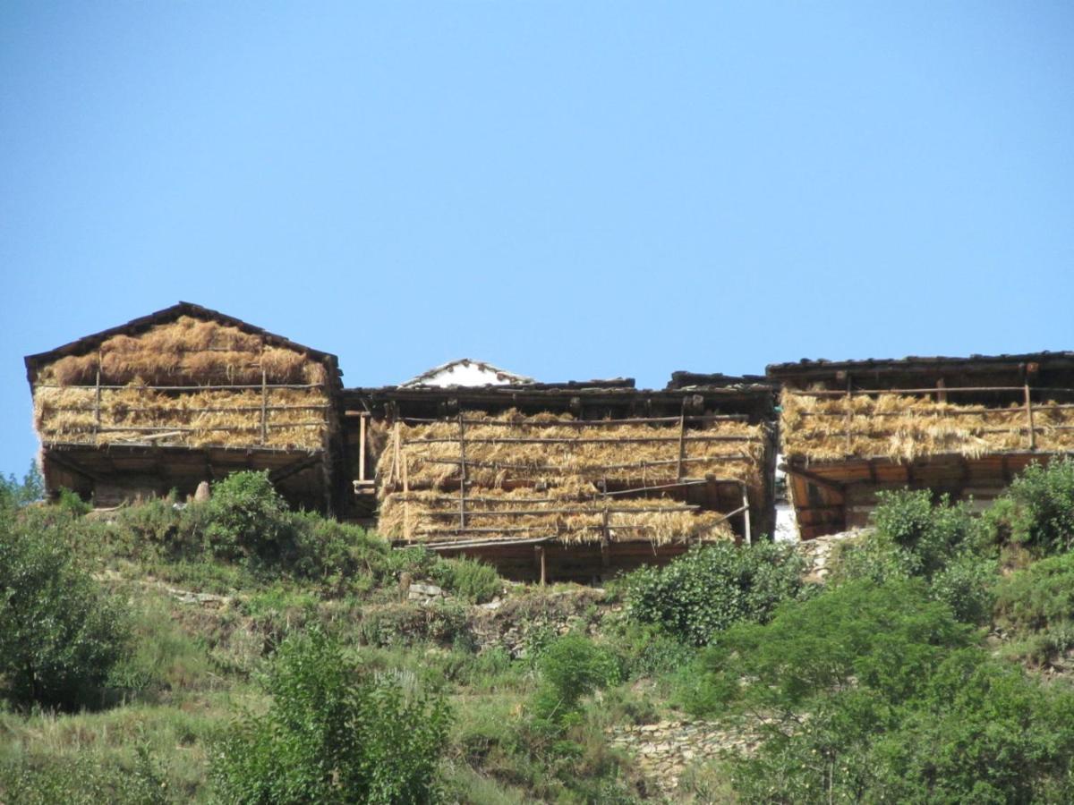 Mozo Inn&Cafe Jibhi Banjār Extérieur photo