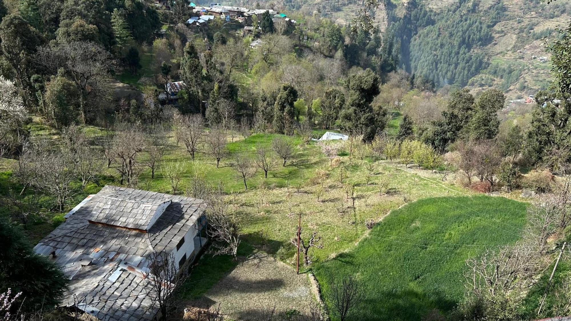 Mozo Inn&Cafe Jibhi Banjār Extérieur photo
